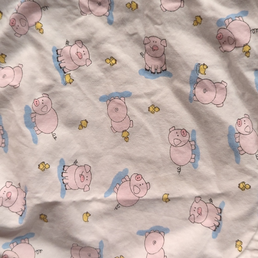 Pig and Duck Pajama Shorts - Picture 2 of 4
